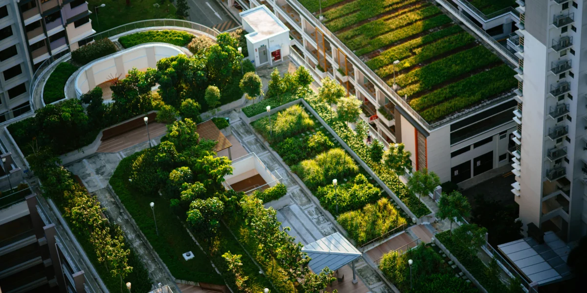 The sustainable city