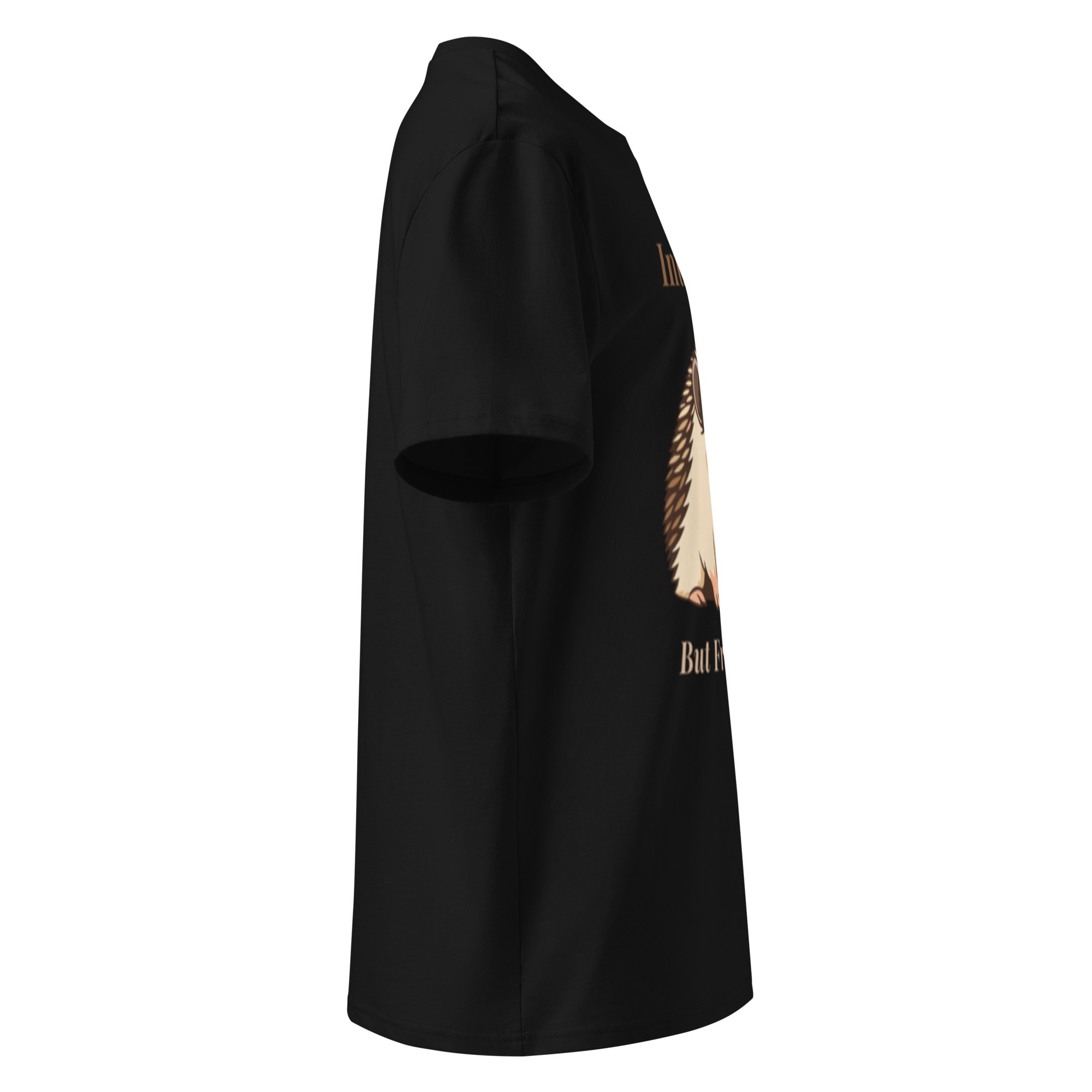 Introvert But Friendly T-shirt in Black - Image 5